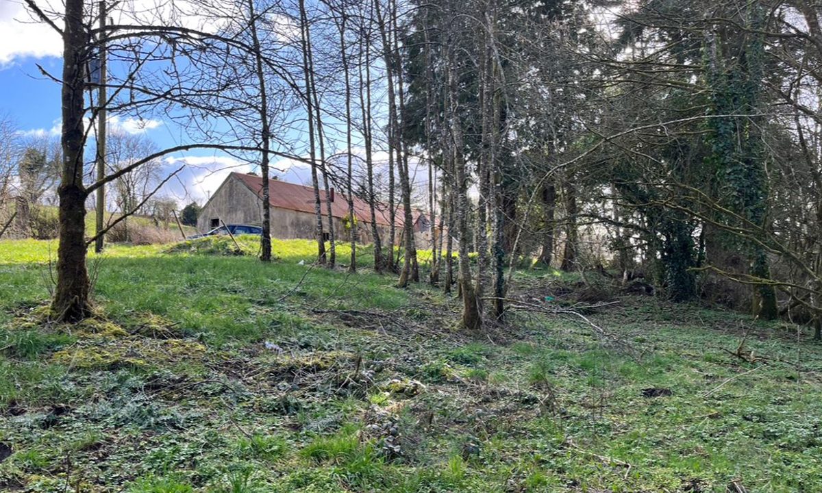 P51E4F8-4